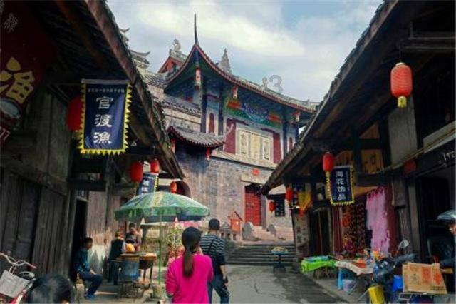 鲤鱼能吃龟粮吗?-专注问答交流